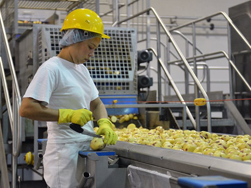 Automating the Foundation: Precision Solutions for Primary Agricultural Production