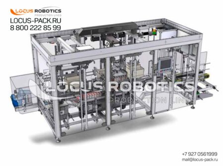 LRCP-100 Automatic Case Packer for Carton Boxes and Small Containers with Bulk/Solid Products