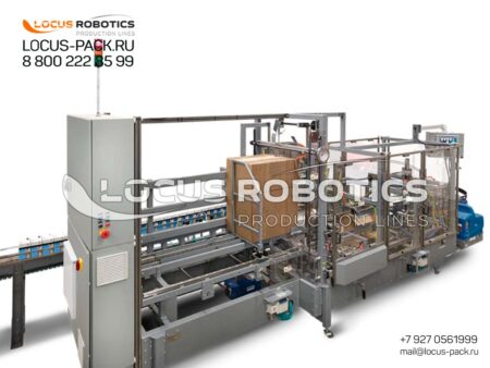 Automatic Case Packer for Pre-made Packets and Pouches