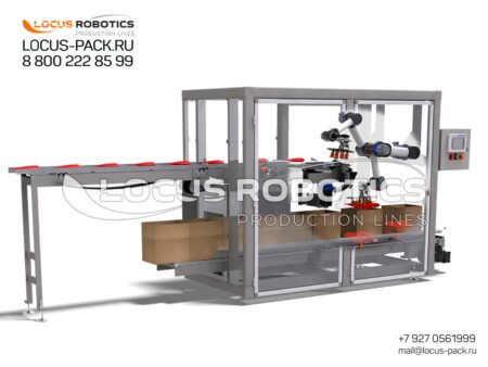 ROB-1000 Linear Robotic Station for Automated Doy-Pack Pouch Boxing
