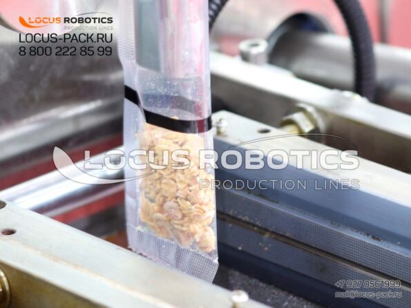 Precision Bag Packaging Machines: Vertical & Horizontal Form-Fill-Seal (FFS) Systems