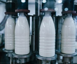 2965456 31.10.2016 Молочная продукция на производстве ООО "Растениеводческое хозяйство Родина" ГК "РИАТ" в Иванове. Варвара Гертье / РИА Новости